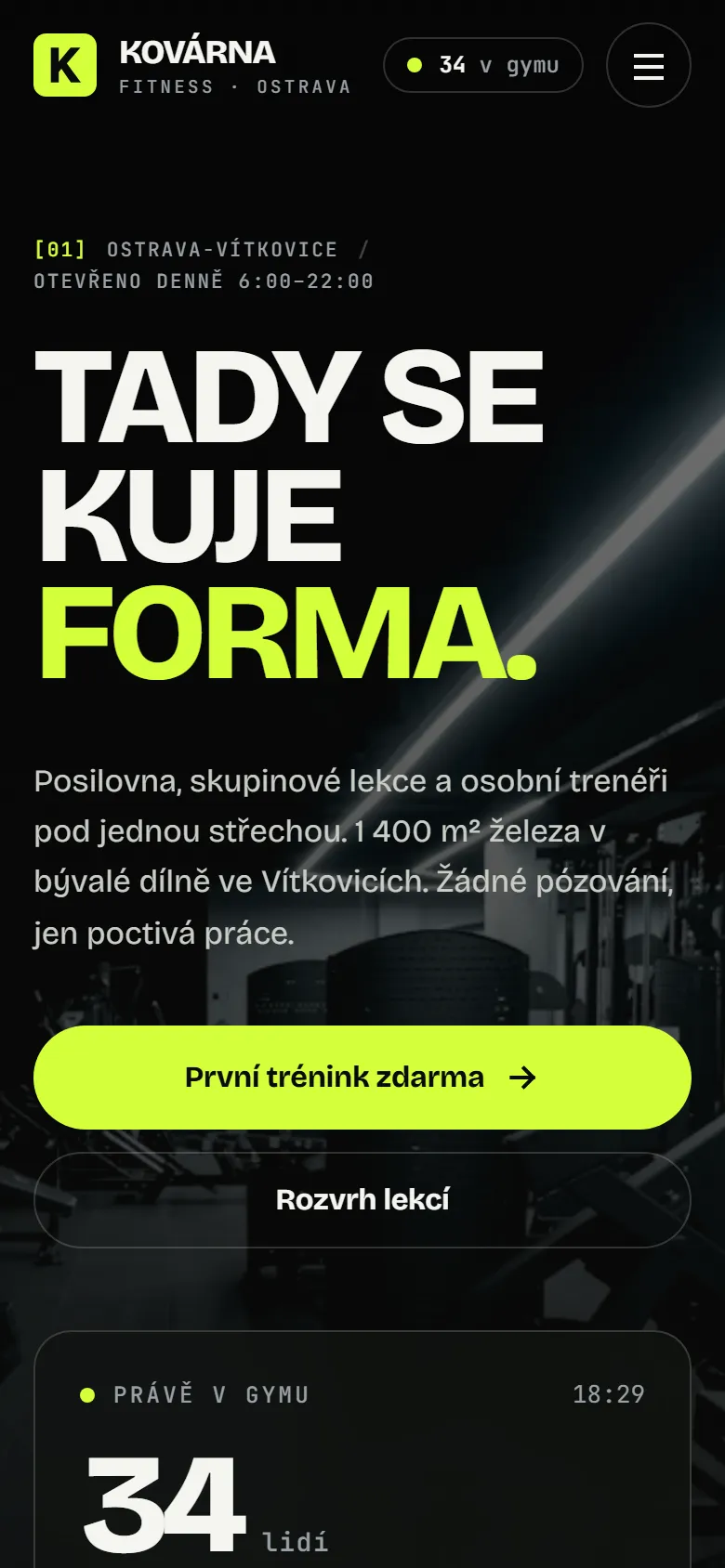 Ukázkový web na mobilu